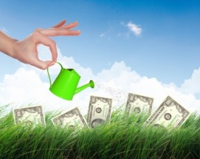 human hand watering money tree