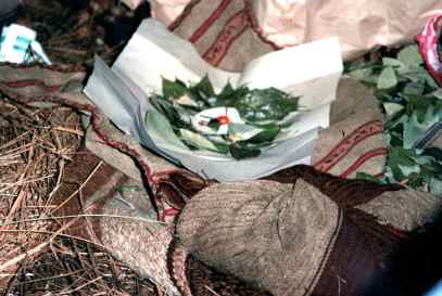 Q'ero despacho to the Apus