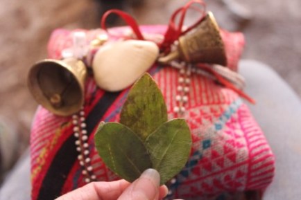 lisa-mesa-and-kintu-compressed-lisa-sims-photo-2016