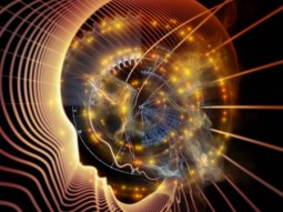 Game of Inner Geometry