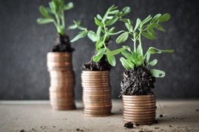 plants-growing-on-coins-compressed-flipped-adobestock_106627490