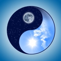 symbol of yin and yang of the background
