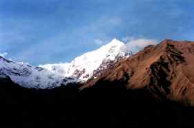 New Apu wilkanusta Veronica