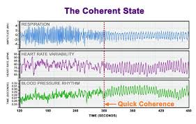 The Importance of Coherence | Q'enti Wasi – House of the Hummingbird