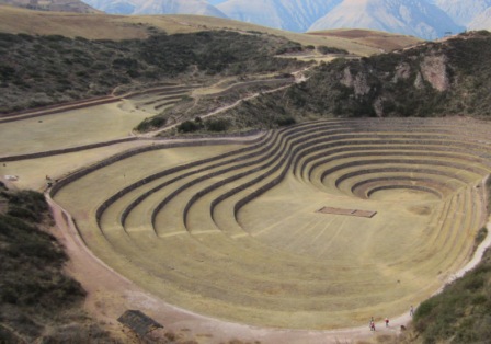 Moray compressed and cropped