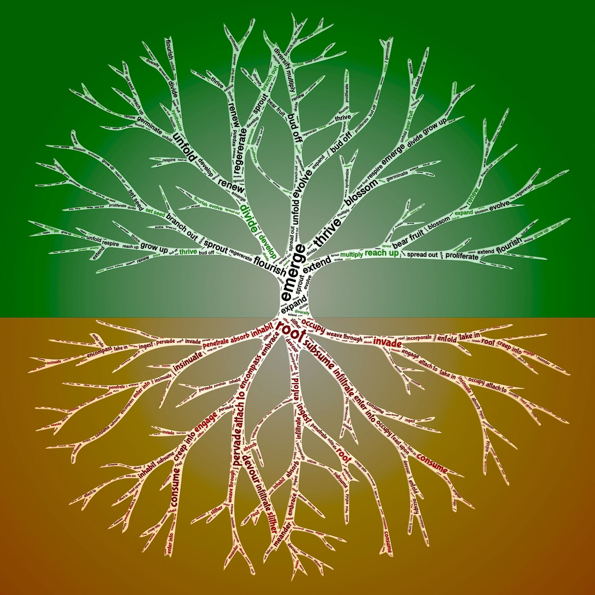 Development Pixabay-gb7590b25d_1920