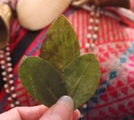 K'intu Lisa Sims cropped compressed