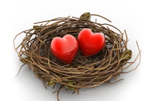 Two love hearts in being protected in a nest. Conceptual design