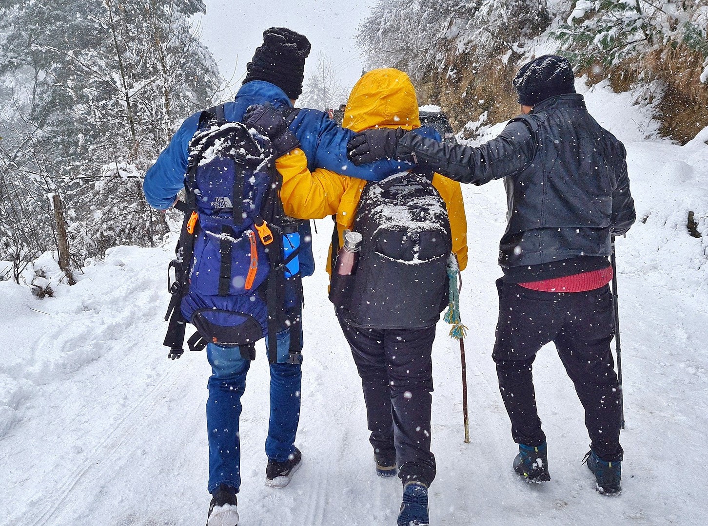 friends 1 Pixabay-7048820_1920